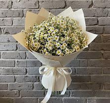 Букет цветов из:  Ромашки #REPLACE_PRED# Ильинское