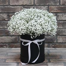 Цветочная композиция из Гипсофила в шляпной коробке в Ильинское