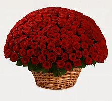 Премиум букет из: Розы #REPLACE_PRED# Ильинское